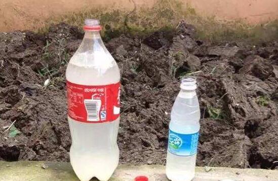 如何让吊兰的叶子变绿，让吊兰叶子厚绿的3个小妙招