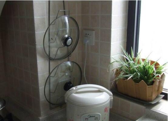 家里为何不能养吊兰,家中养吊兰夫妻不和是真的吗(假的)