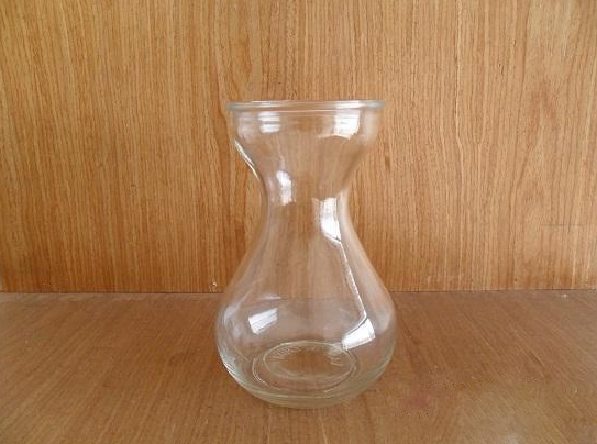 水培吊兰养护办法：不要向叶子喷水，一旦喷了水，叶子很容易萎蔫脱落