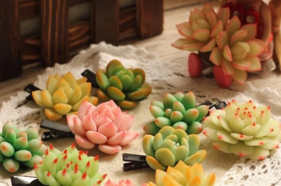 多肉黑腐的原因及处理办法