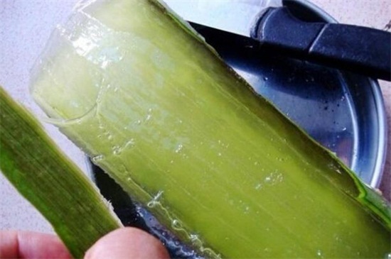 如何使用芦荟消炎，去表皮液体肉涂抹在皮肤上