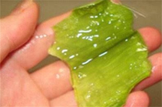 如何使用芦荟消炎，去表皮液体肉涂抹在皮肤上
