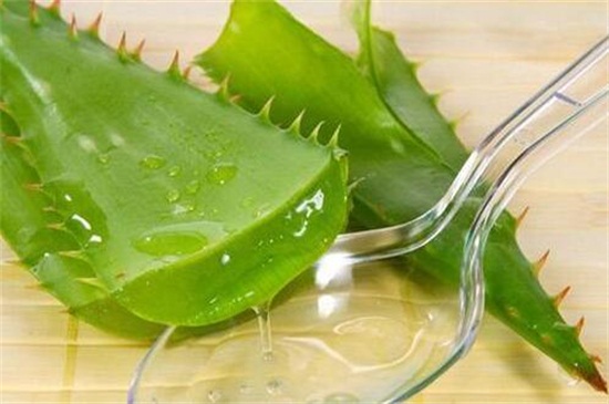 如何使用芦荟消炎，去表皮液体肉涂抹在皮肤上