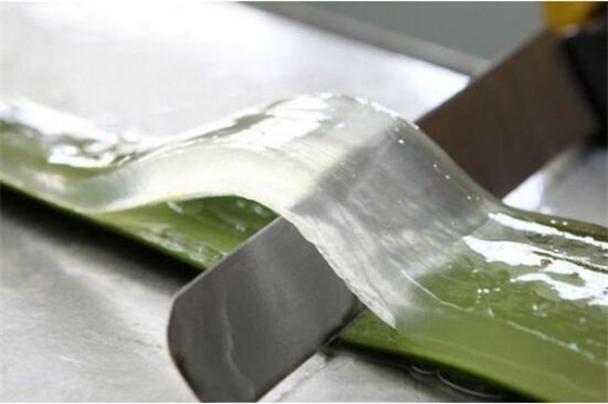 新鲜芦荟涂脸正确办法，5个步骤让皮肤变得细腻莹润