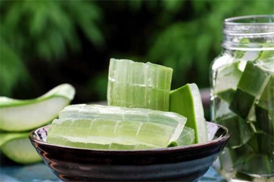 新鲜芦荟涂脸正确办法，5个步骤让皮肤变得细腻莹润