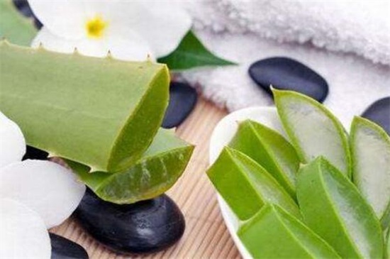 新鲜芦荟涂脸正确办法，5个步骤让皮肤变得细腻莹润