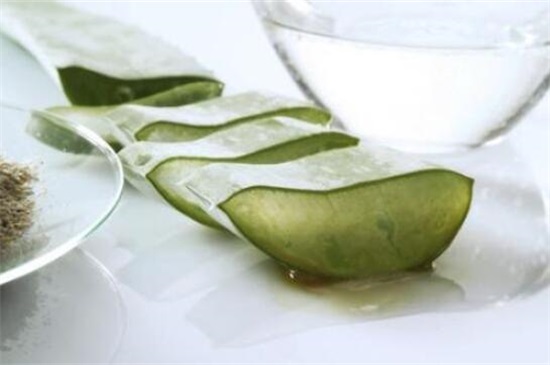 新鲜芦荟涂脸正确办法，5个步骤让皮肤变得细腻莹润