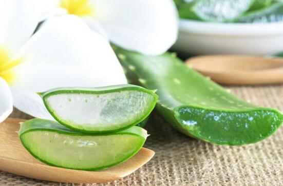 芦荟如何吃，制作芦荟茶方便又护心