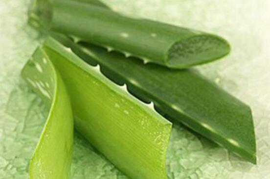 芦荟如何吃，制作芦荟茶方便又护心