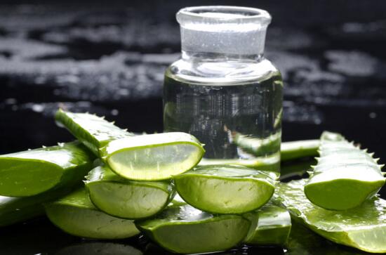 芦荟如何美容,常喝芦荟茶让肌肤青春靓丽