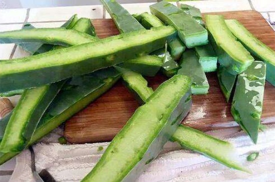 仙人掌能吃吗如何吃,可切条沾蜂蜜或泡茶饮用