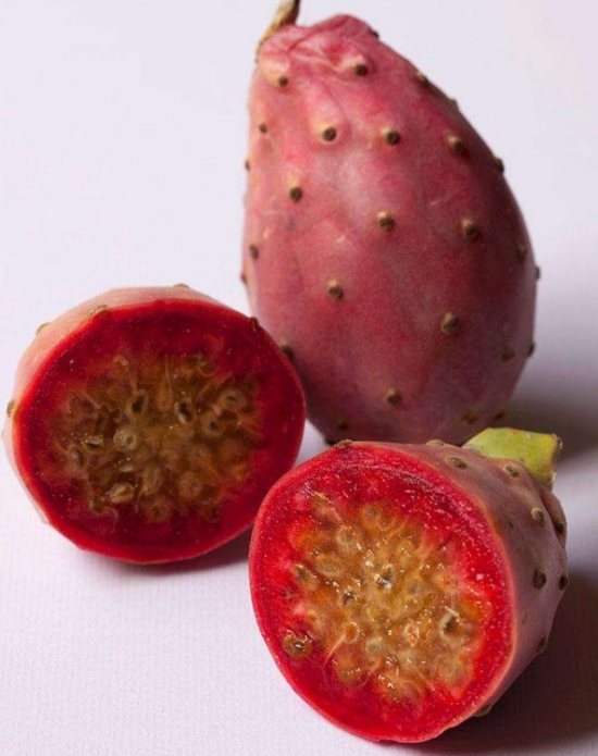 仙人掌果的功效与作用