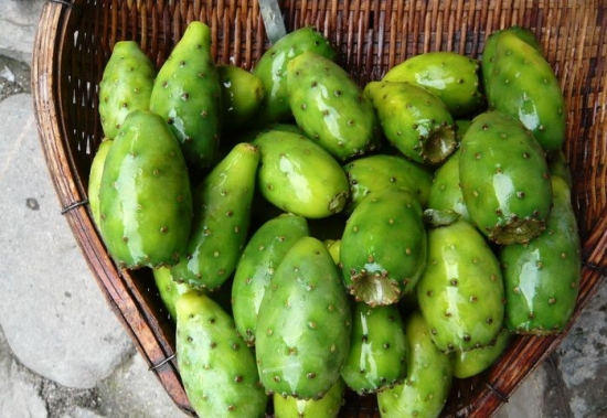 仙人掌果的功效与作用