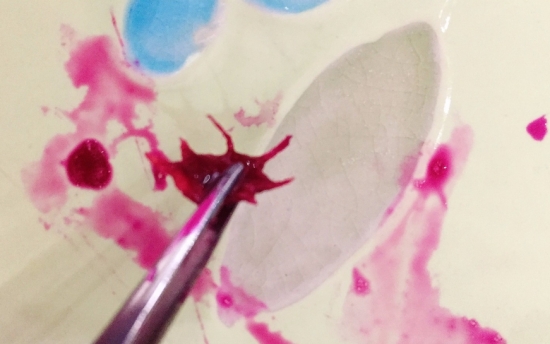 仙人掌果如何吃