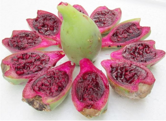 仙人掌果如何吃