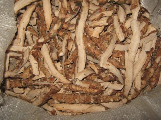 水菖蒲的功效与作用：阴虚阳亢,精滑者慎服