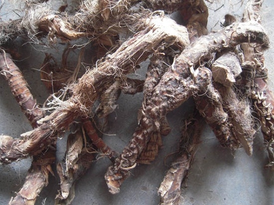 水菖蒲的价格：花苗单价在0.8-1元/棵,药材价格在11-13元/公斤