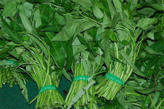 空心菜种类哪种好，竹叶空心菜产量高口质脆味浓