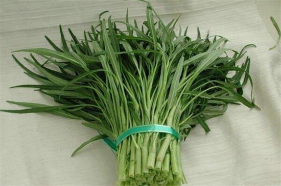空心菜种类哪种好，竹叶空心菜产量高口质脆味浓