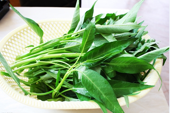 蕹菜 蕹菜的价格,:蕹菜的价格易受天气影响,有较大的不确定性