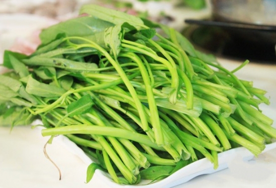 蕹菜的种植办法：北方以旱栽为主，南方旱栽与水植并存