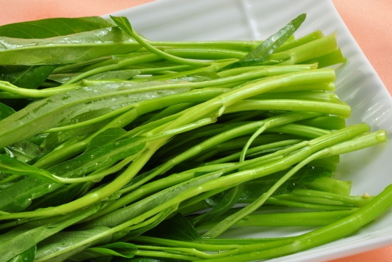 蕹菜的种植办法：北方以旱栽为主，南方旱栽与水植并存