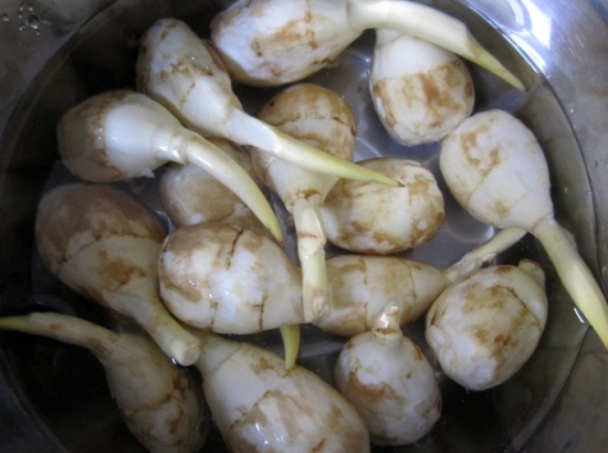 茨菰做法 茨菰做法大全