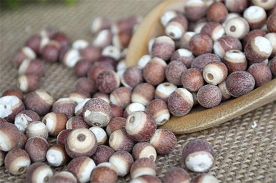 芡实如何煮烂，清水浸泡文火温煮即可