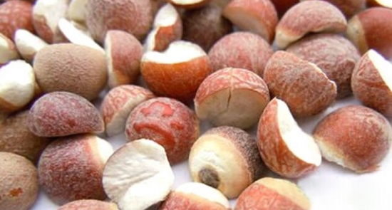 孕妇能吃芡实吗：芡实性属平，不寒不躁，很适合孕妇食用