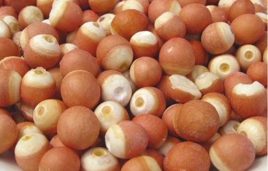 芡实是什么：水生草本植物，浆果和植株统称芡实，果实也叫“鸡头米”