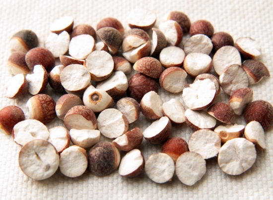 芡实的价格：根据货品、新鲜程度不同，价格差异很大