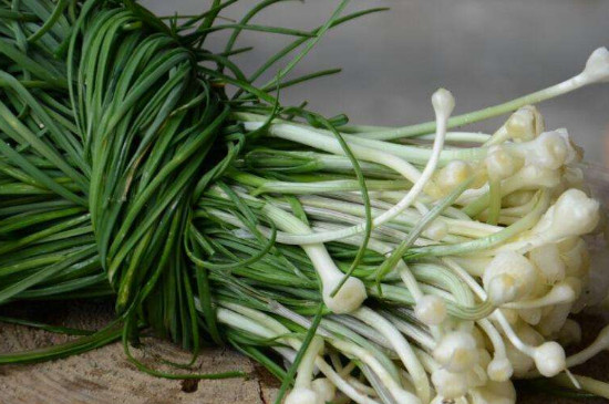 水养葱几天换一次水