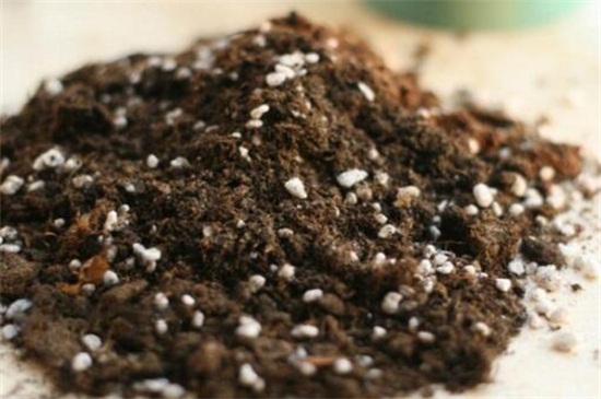 如何自制荷花淤泥，荷塘泥自制办法