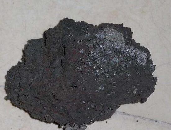 家庭荷花的养殖办法，家养荷花办法大全