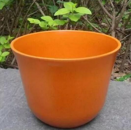 荷花用藕种植过程图解,从种植到开花只需一个月