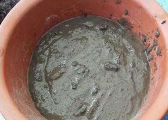 荷花用藕种植过程图解,从种植到开花只需一个月