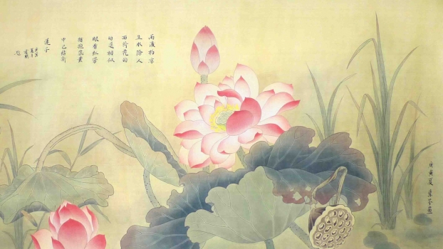 国画荷花：高清图欣赏