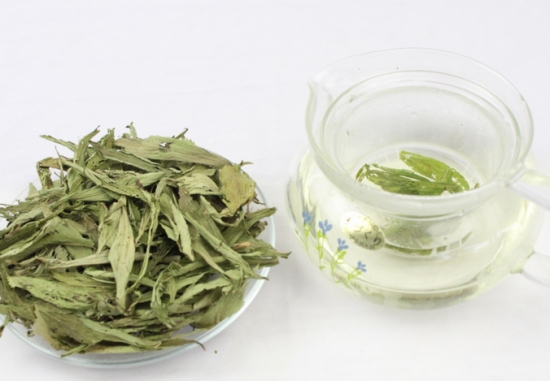 甜叶菊的功效与作用：不可大量长期饮用