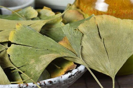 银杏叶如何处理才能泡茶