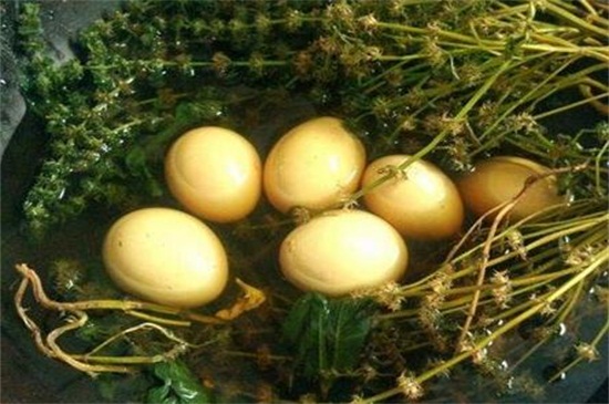 艾叶煮鸡蛋如何煮窍门,4个窍门教你轻松学会