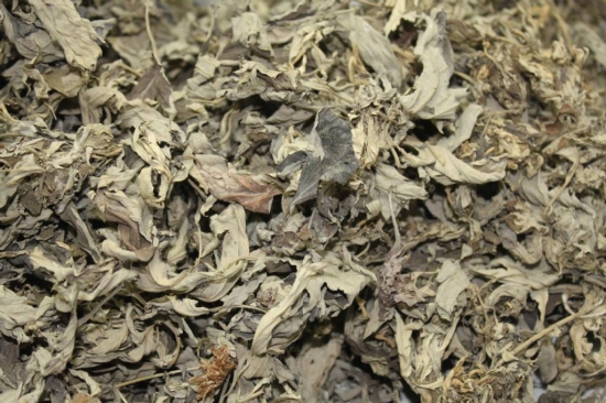 艾叶的功效与作用：阴虚血热者慎用