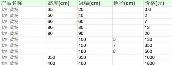 大叶黄杨的价格：根据株高、冠幅、地径的不同而不同