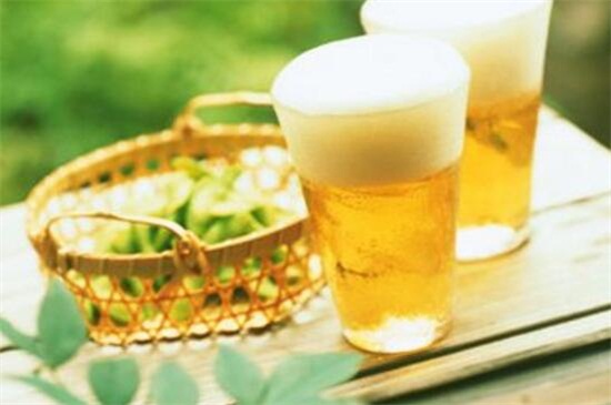 万年青可以用啤酒浇吗,1:50的比例浇灌可达到根外施肥