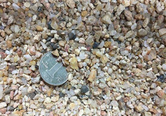 文竹如何养才能更旺盛，六个要点三个诀窍养出茂盛的文竹