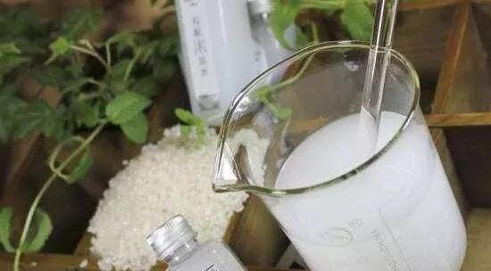 文竹浇洗米水有用吗，文竹用洗米水如何浇(发酵稀释)