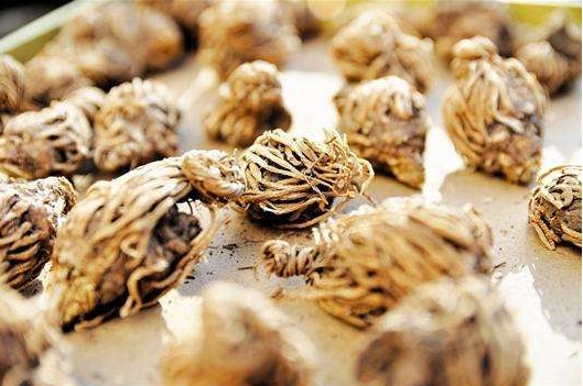 龙胆草的功效和作用：功效主治泻肝胆实火、除下焦湿热