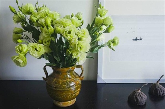 花店买的洋桔梗如何养，3个办法可让成活率过百