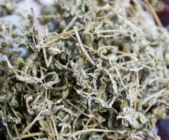 溪黄草的介绍 溪黄草的介绍,溪黄草茶的功效与作用