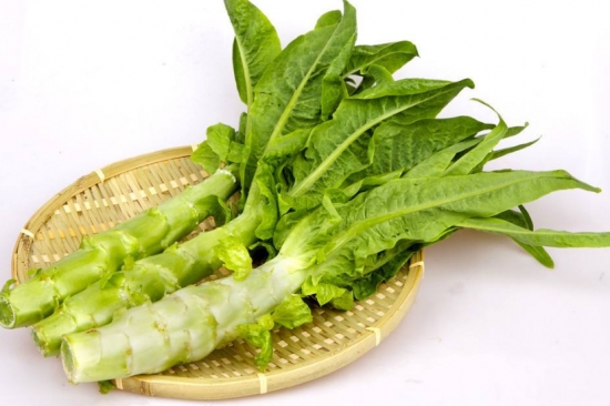 莴苣 莴苣是什么:不同的地方对莴苣的称呼不一样,有叫菜头、莴笋或笋菜
