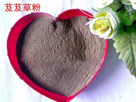 芨芨草的功效与作用：清热利尿，主治尿路感染、尿闭等